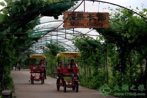 [蘇州太湖綠光農場拓展基地]+ 致青春無悔！一日拓展活動