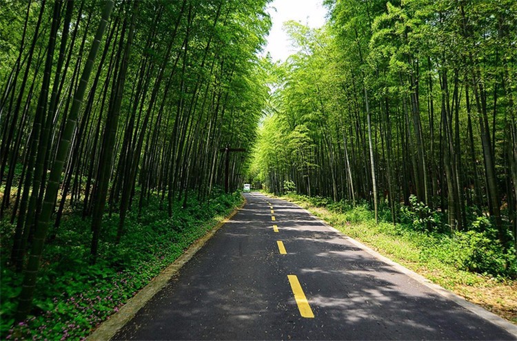 [南山竹海景區(qū)]+新員工一日場地團建