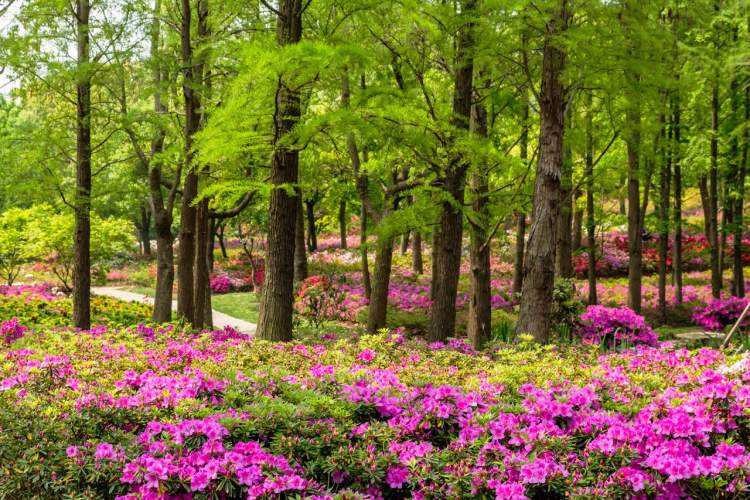 [上海東平森林公園]-主題拓展一日活動(dòng)