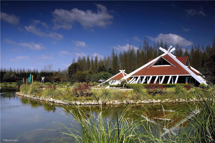 [上海崇明島森林公園]-野外徒步一日團(tuán)建