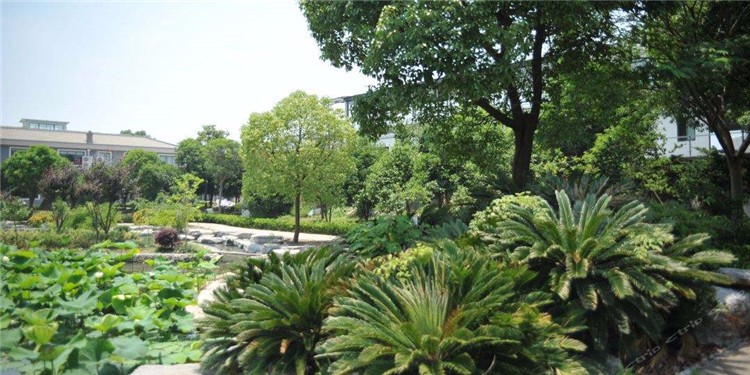 [上海華博生態(tài)拓展基地]+戰(zhàn)狼特訓(xùn)一日拓展活動(dòng)