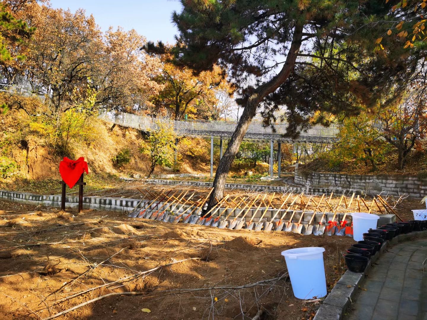 [春季植樹]+守護藍天懷柔一日春季植樹活動